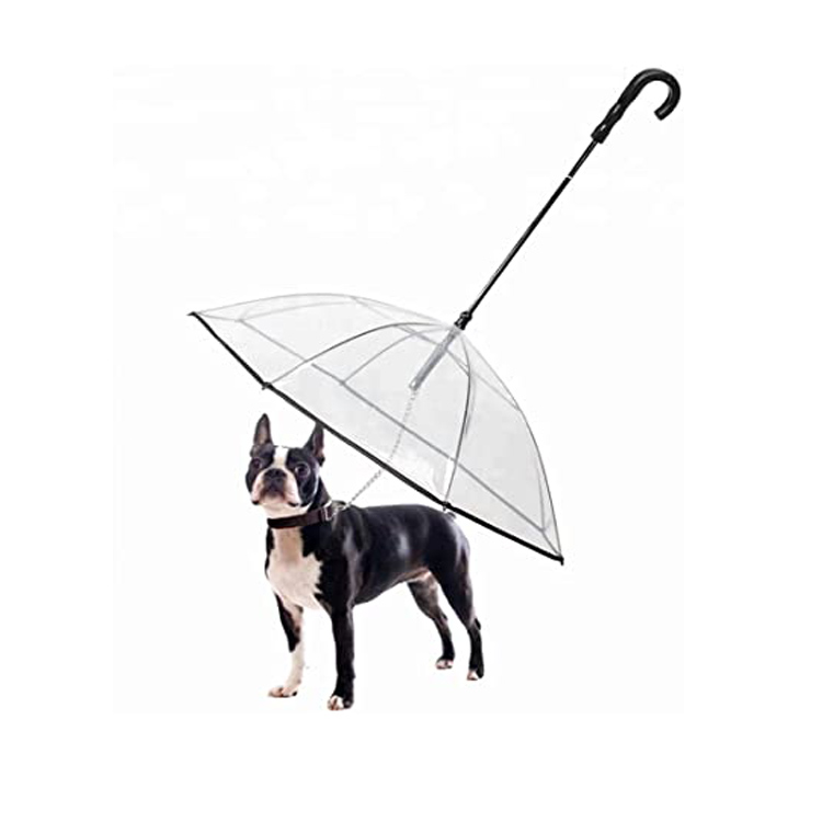 Why Should Every Pet Owner Consider a Pet Umbrella?