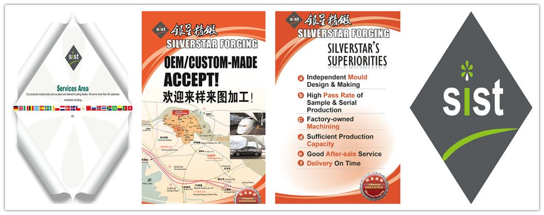 Hot Forging/Plier Forgings/OEM/CRV Steel