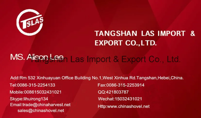 Kinds of Steel Machete with Handle